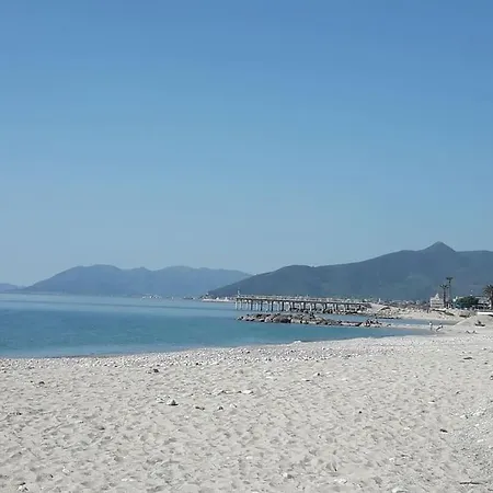 Vittoria
