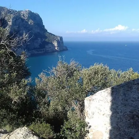 Vittoria *